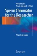 Sperm Chromatin for the Researcher: A Practical Guide