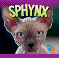 Sphynx