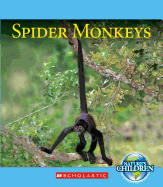 Spider Monkeys