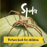 Spider: Picture book for children