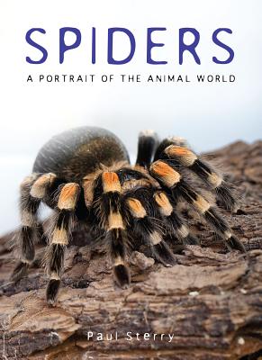 Spiders: A Portrait of the Animal World - Sterry, Paul