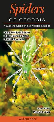 Spiders of Georgia: A Guide to Common & Notable Species - Bugh, Valerie G