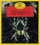 Spiders