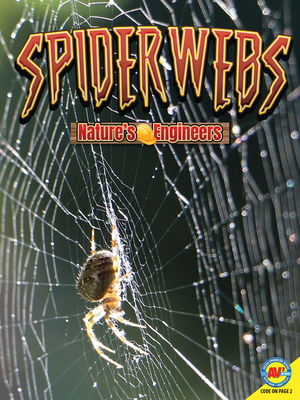 Spiderwebs - Furstinger, Nancy