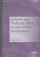 Spillover and Feedback Effects in Low Carbon Development