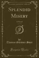 Splendid Misery, Vol. 1 of 3: A Novel (Classic Reprint)