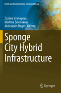 Sponge City Hybrid Infrastructure