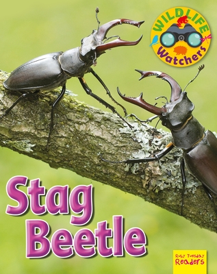 Stag Beetle - Owen, Ruth