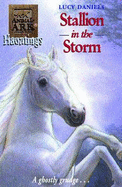 Stallion in the Storm