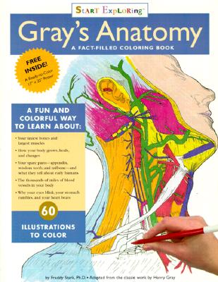 Start Exploring "Gray's Anatomy": A Fact-filled Colouring Book - Stark, Freddy