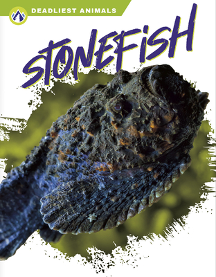 Stonefish - Golkar, Golriz