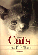 Stories of Cats and the Lives They Touch - Schaefer, Peggy (Editor)