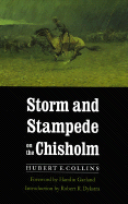 Storm and Stampede on the Chisholm