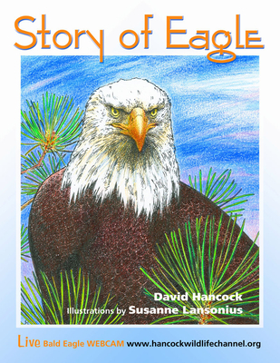 Story of Eagle Activity & Coloring Book - Hancock, David, and Lansonius, Susanne
