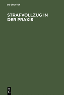 Strafvollzug in Der PRAXIS: Eine Einfhrung in Die Probleme Und Realitten Des Strafvollzuges Und Der Entlassenenhilfe