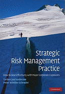 Strategic Risk Management Practice: How to Deal Effectively with Major Corporate Exposures