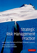 Strategic Risk Management Practice