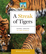 Streak of Tigers: Animal Groups in the Jungle: Animal Groups in the Jungle