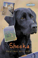 Streetwise Sheeka