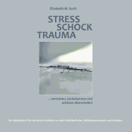 Stress Schock Trauma ... verstehen, (an)erkennen und achtsam ?berwinden: Ein Arbeitsbuch f?r die ersten Schritte zu mehr Wohlbefinden, Selbstbewusstsein und Intuition