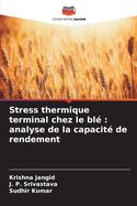 Stress thermique terminal chez le bl?: analyse de la capacit? de rendement