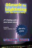 Struck by Lightning and other bolts of reality: 2nd printing with bonus story - Son of a Covet