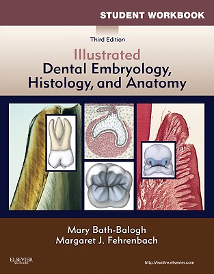 Student Workbook for Illustrated Dental Embryology, Histology and Anatomy - Bath-Balogh, Mary, and Fehrenbach, Margaret J, MS