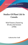 Studies Of Plant Life In Canada: Wild Flowers, Flowering Shrubs, And Grasses (1906)