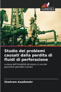 Studio dei problemi causati dalla perdita di fluidi di perforazione