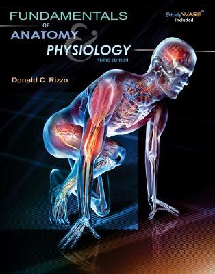 Study Guide for Rizzo's Fundamentals of Anatomy and Physiology, 3rd - Rizzo, Donald