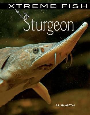 Sturgeon - Hamilton, S L