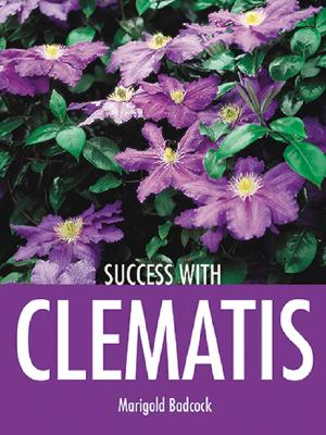 Success with Clematis - Badcock, Marigold