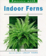 Success with indoor ferns