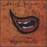 Sugar Mouth - David Kilgour