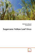 Sugarcane Yellow Leaf Virus