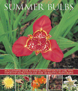 Summer Bulbs