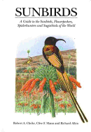 Sunbirds: A Guide to the Sunbirds, Flowerpeckers, Spiderhunters, and Sugarbirds of the World