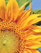 Sunflower Notebook Large Size 8.5 x 11 Ruled 150 Pages Softcover