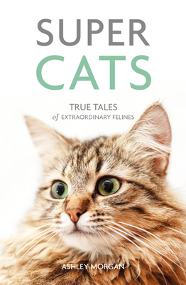 Super Cats: True Tales of Extraordinary Felines - Morgan, Ashley