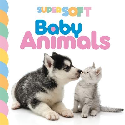 Super Soft Baby Animals - Autumn Publishing