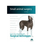 Surgical techniques. Small animal surgery