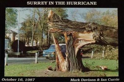 Surrey in the Hurricane: Great Storm of October 16th 1987 1987 - Davison, Mark, and Currie, Ian, and Ogley, Bob (Volume editor)