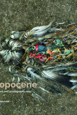 Surveying the Anthropocene: Environment and Photography Now - MacDonald, Patricia (Editor)