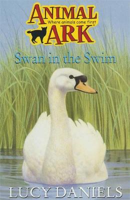 Swan In The Swim - Daniels, Lucy