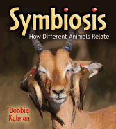 Symbiosis: How Different Animals Relate