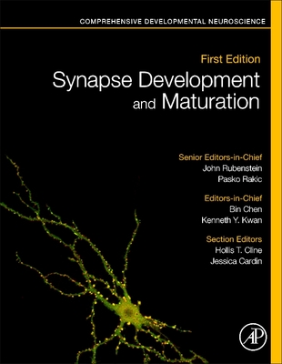 Synapse Development and Maturation: Comprehensive Developmental Neuroscience - Rakic, Pasko (Editor), and Rubenstein, John (Editor), and Chen, Bin (Editor)