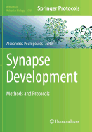 Synapse Development: Methods and Protocols