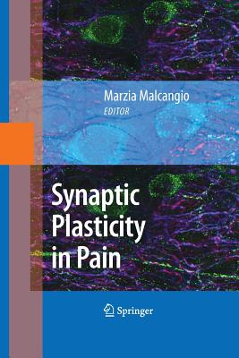 Synaptic Plasticity in Pain - Malcangio, Marzia (Editor)