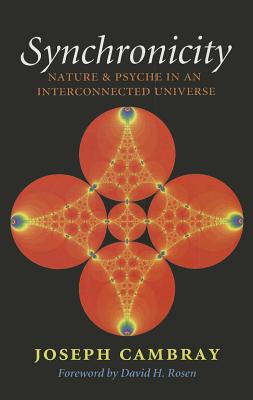 Synchronicity: Nature and Psyche in an Interconnected Universe Volume 15 - Cambray, Joseph, Dr., Ph.D., and Rosen, David H (Foreword by)