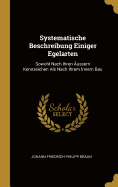 Systematische Beschreibung Einiger Egelarten: Sowohl Nach Ihren ussern Kennzeichen Als Nach Ihrem Innern Bau